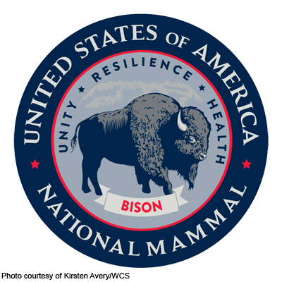 Bison-National-Mammal-Seal-1
