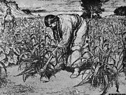 Sketch of a Native American farming